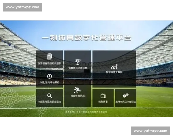 全面解析体育平台官网功能与服务，打造完美用户体验与赛事互动平台